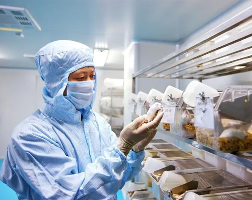 磁選機在食品與醫藥領域應用